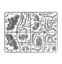 Age of Sigmar: Gloomspite Gitz: Arachnarok Spider with Spiderfang Warparty Local Pick-up