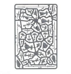 Age of Sigmar: Lumineth Realm-Lords: Vanari Auralan Wardens