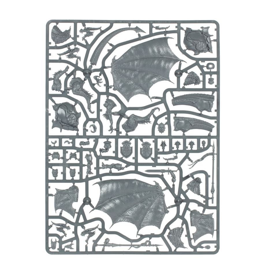 Age of Sigmar: Stormcast Eternals: Stormdrake Guard