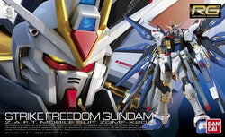 Real Grade - 1/144 ZGMFX20A STRIKE FREEDOM GUNDAM - Gundam
