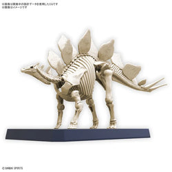 Plannosaurus Stegosaurus Model Kit