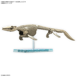 PLANNOSAURUS Mosasaurus Model Kit