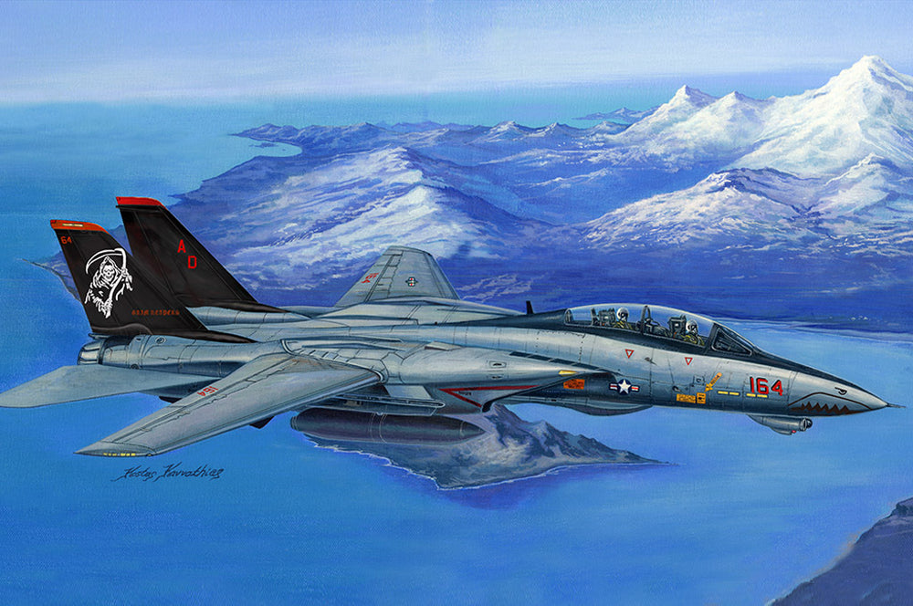 HobbyBoss 1/48 F-14D Super Tomcat Plastic Model Kit