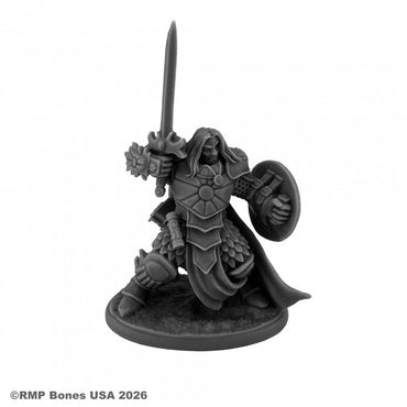 Reaper: Dungeon Dwellers: Ansel, Paladin