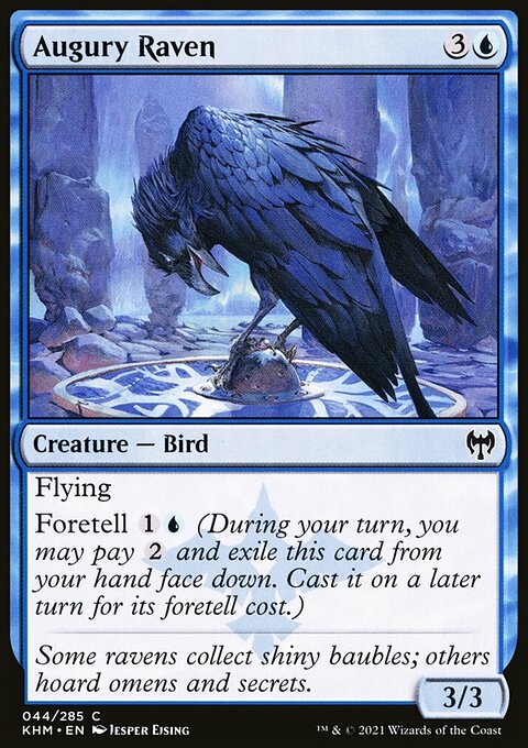 Augury Raven [Kaldheim]