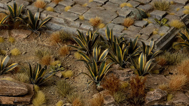 Gamers Grass - Laser Plants: Agave