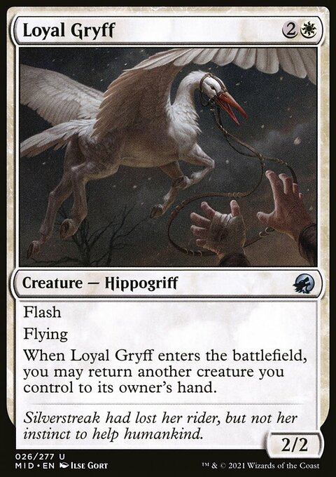 Loyal Gryff [Innistrad: Midnight Hunt]