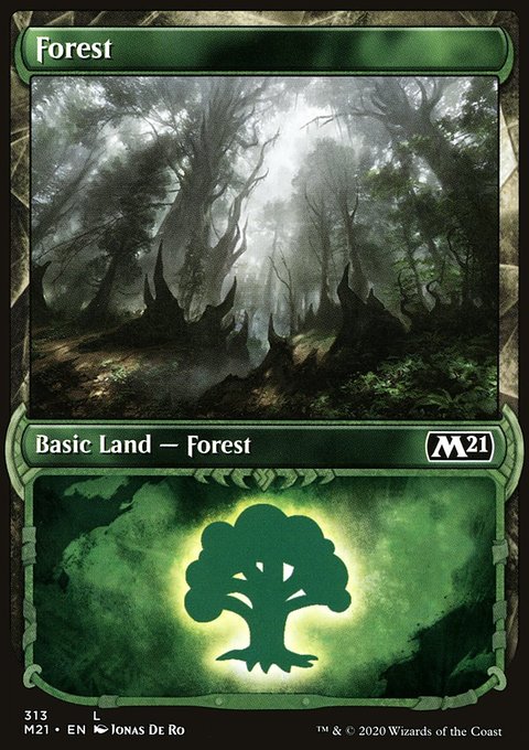 Forest (313) (Showcase) [Core Set 2021]