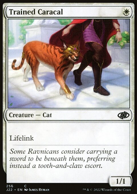 Trained Caracal [Jumpstart 2022]