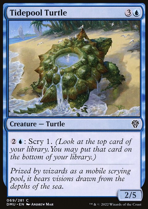 Tidepool Turtle [Dominaria United]