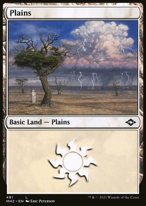 Plains (481) (Foil Etched) [Modern Horizons 2]