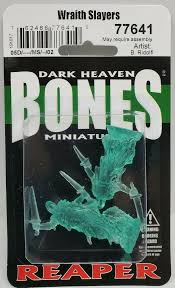 Reaper Bones Miniatures: Wraith Slayers (2)