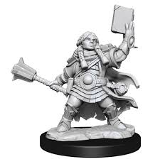 D&D Frameworks Dwarf Cleric Female