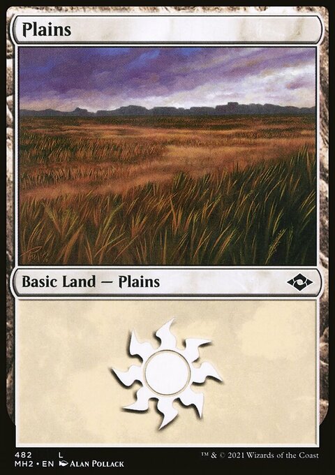 Plains (482) (Foil Etched) [Modern Horizons 2]
