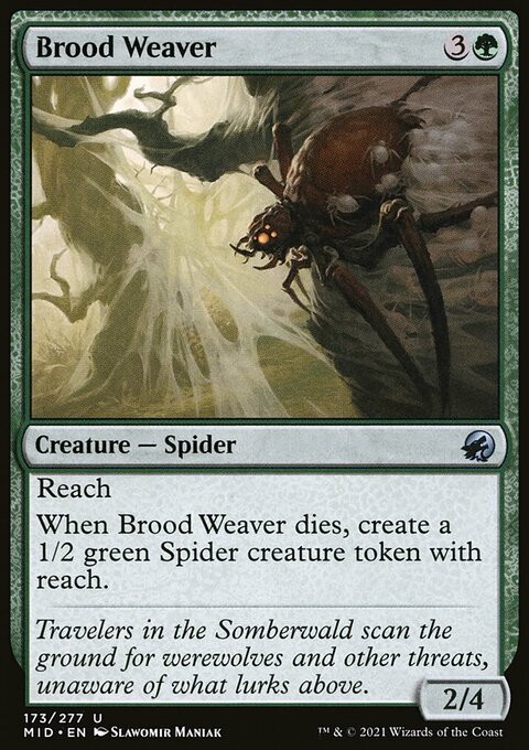 Brood Weaver [Innistrad: Midnight Hunt]