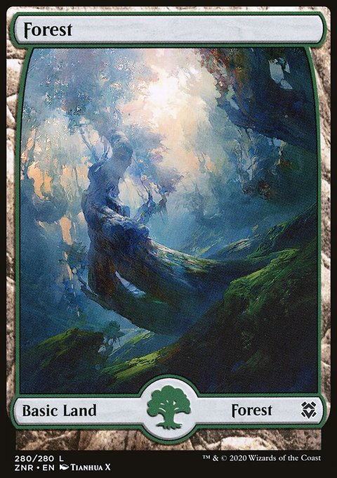 Forest (280) [Zendikar Rising]
