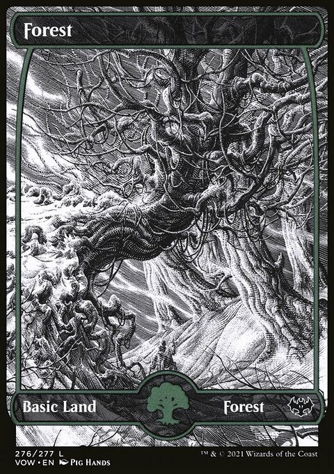 Forest (276) [Innistrad: Crimson Vow]
