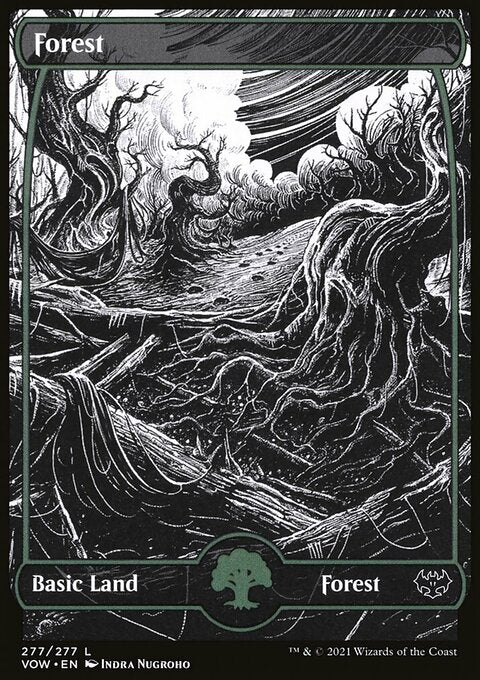 Forest (277) [Innistrad: Crimson Vow]