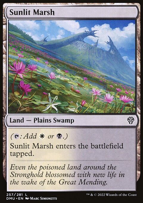 Sunlit Marsh [Dominaria United]