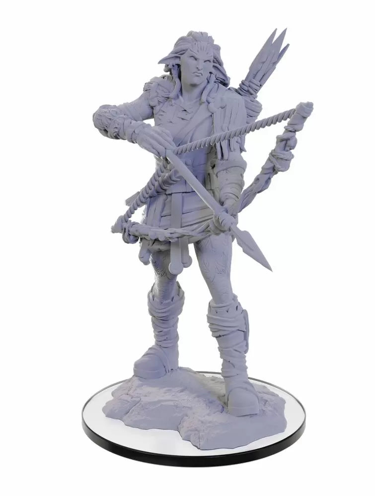 Pathfinder Deep Cuts Miniatures: Wood Giant