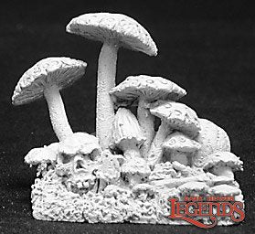 Fungus Patch