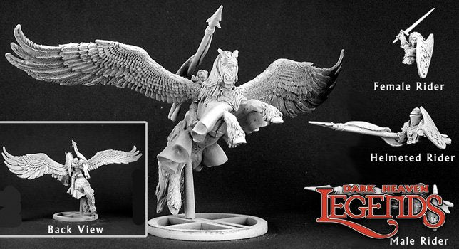 Barros & Tempest, Paladin on Pegasus