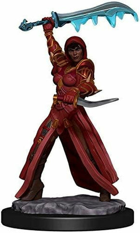D&D Premium Painted Figures Human Rogue Female