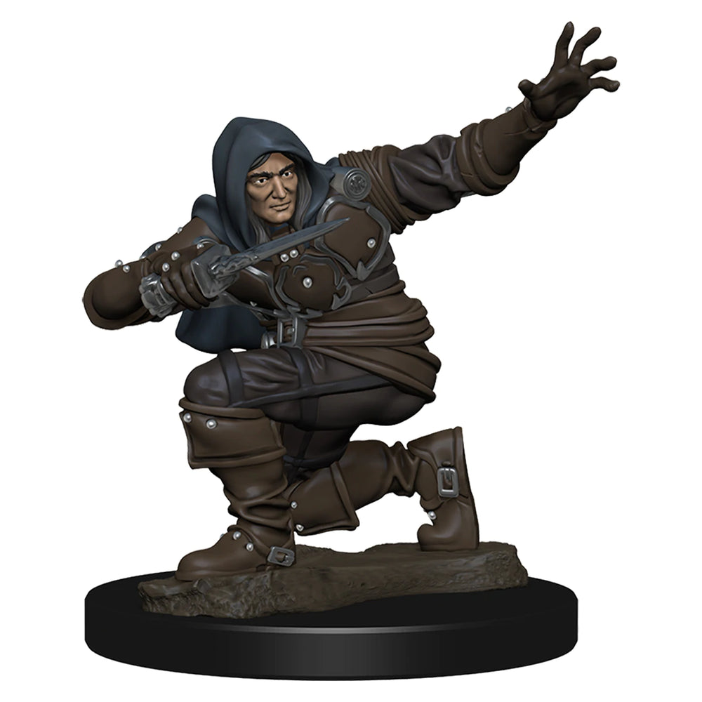 Pathfinder Deep Cuts Premium Painted Human Male Rogue