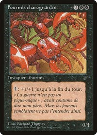 Carrion Ants (French) - 