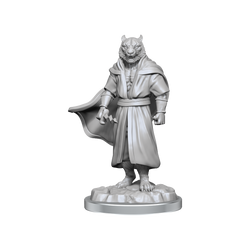 Critical Role Unpainted Miniatures Male Human Sorcerer Merchant & Tiger Demon