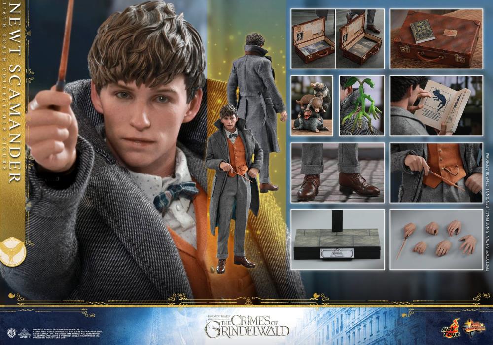Newt Scamander - Hot Toy MMS512 The Crimes of Grindelwald