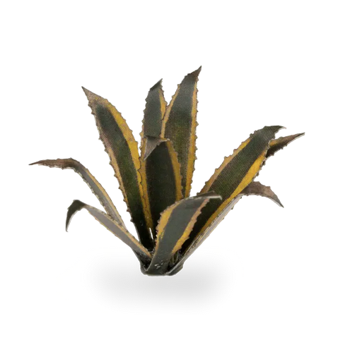Gamers Grass Agave