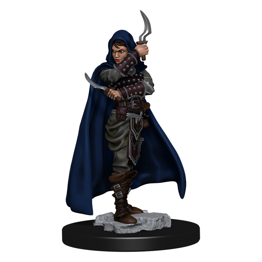 Pathfinder Deep Cuts Premium Painted Human Female Rogue