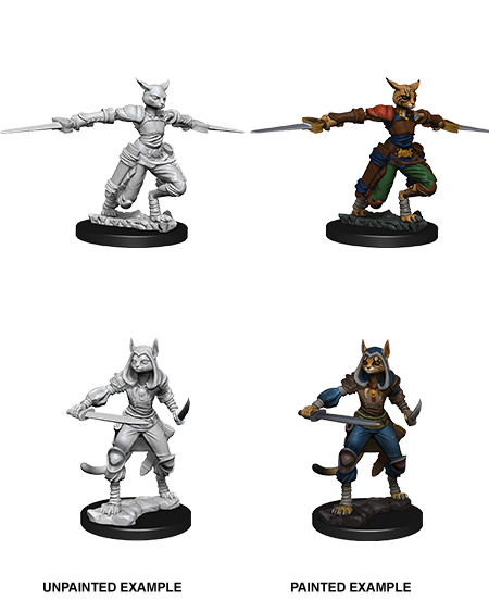 D&D Nolzurs Marvelous Unpainted Miniatures Female Tabaxi Rogue