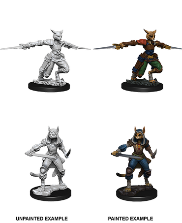 D&D Nolzurs Marvelous Unpainted Miniatures Female Tabaxi Rogue