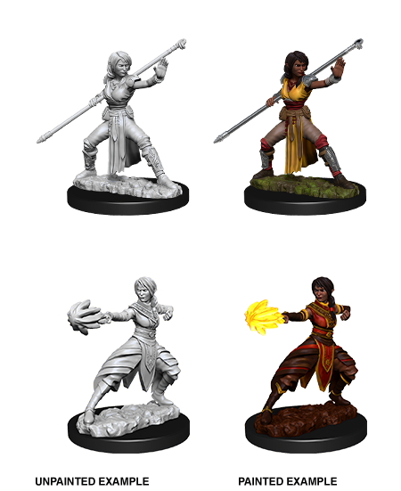 D&D Nolzurs Marvelous Unpainted Miniatures Female Half-Elf Monk