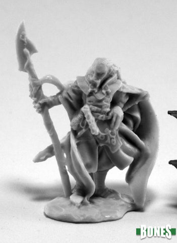 Reaper Bones Valandil, Wizard