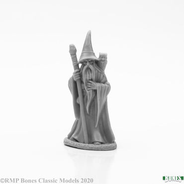 Reaper Bones Anuminar Winterbeard, Wizard