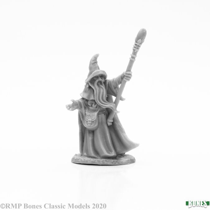 Reaper Bones Arakus Landarzad, Wizard