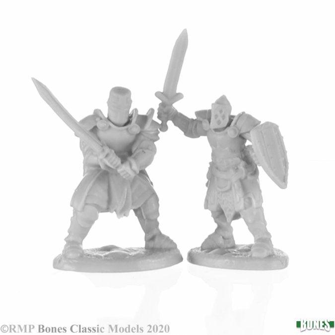 Reaper Bones Knight Heroes (2)