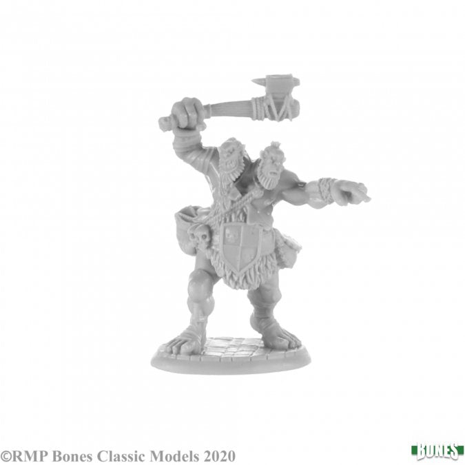 Reaper Bones Miniatures: Ettin