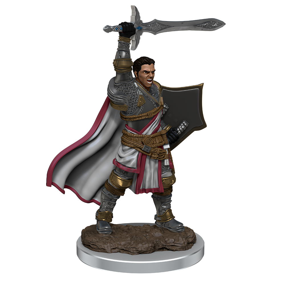 D&D Premium Painted Figures Human Paladin Male