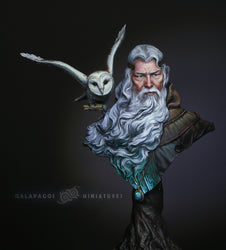 The Messenger by Galapagos Miniatures