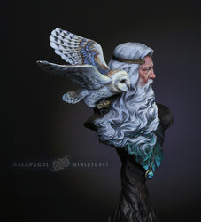 The Messenger by Galapagos Miniatures