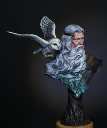 The Messenger by Galapagos Miniatures