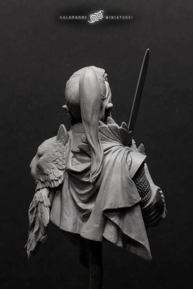 Alai 'The Templar's Atonement Bust by Galapagos Miniatures