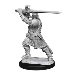 D&D Nolzurs Marvelous Unpainted Miniatures Human Paladin Male