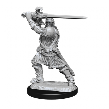 D&D Nolzurs Marvelous Unpainted Miniatures Human Paladin Male
