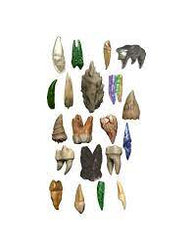 Dungeons & Dragons Teeth of Dahlver-Nar Bite-Sized Artifact