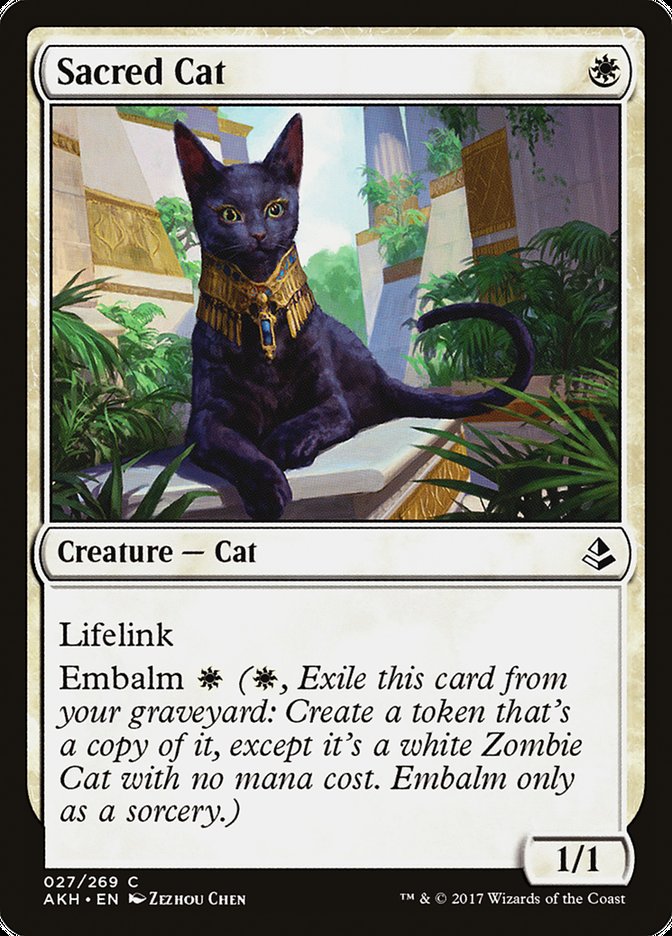 Sacred Cat [Amonkhet]